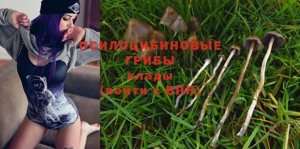 гидра Абаза