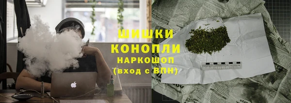 гидра Абаза