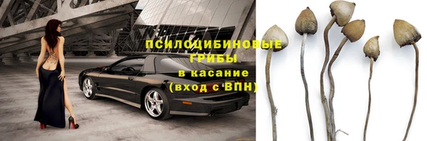 прущая мука Абдулино