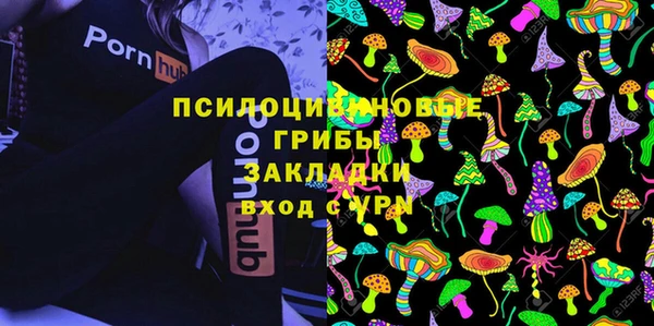 тгк Абинск