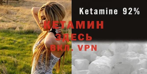 гидра Абаза