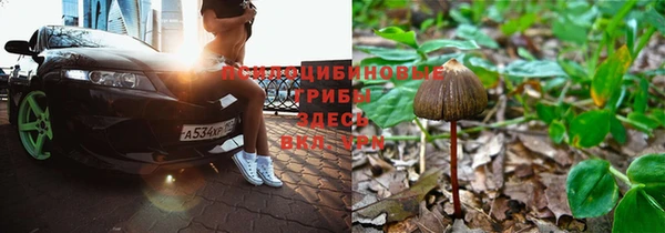 прущая мука Абдулино